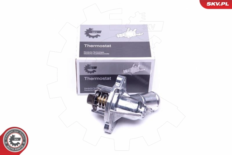 Thermostat, coolant